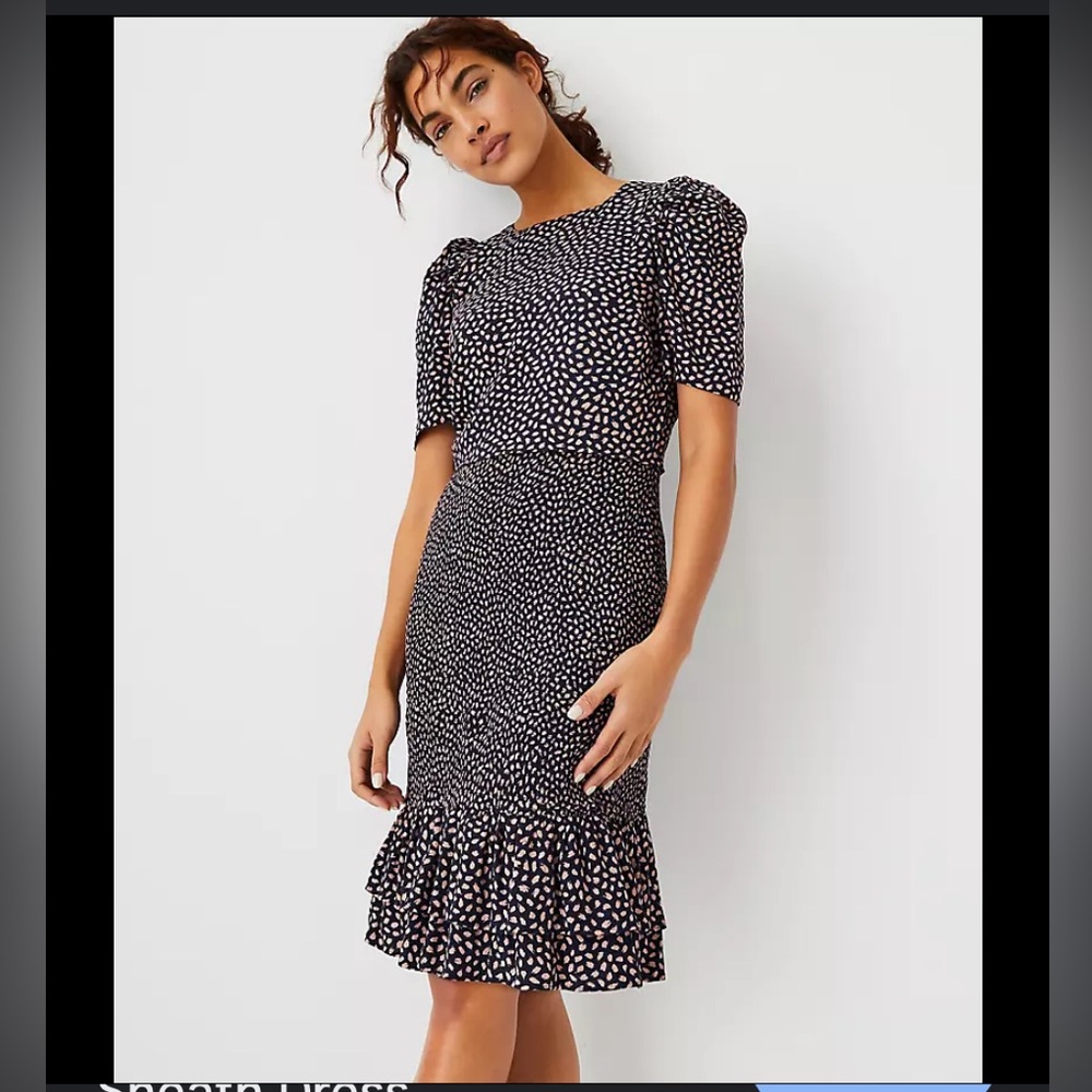 Ann Taylor animal print dress. Navy size 4